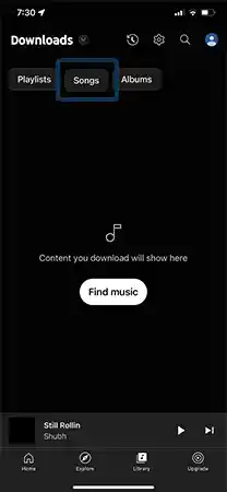 In-the-downloads-section-tap-Songs-and-select-the-Downloaded-Song-to-play