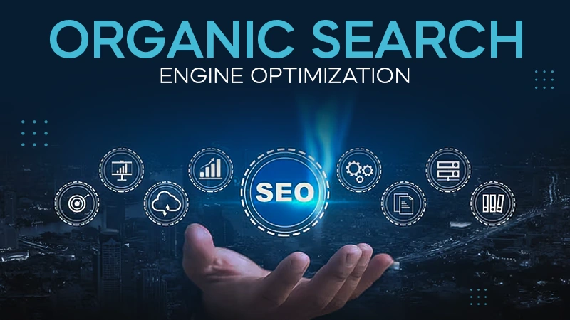 organic-search-engine-optimization